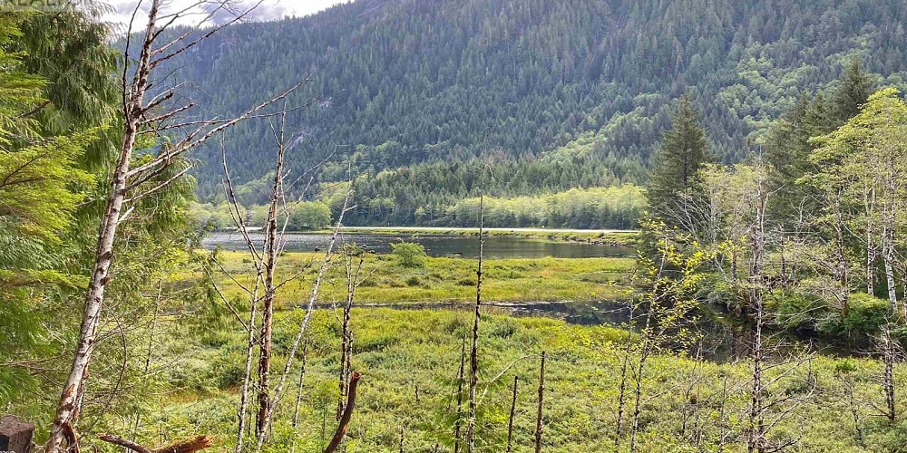 DL 972 HWY 16 Port Edward Photo 23 DL 972 HWY 16 Port Edward Photo 23